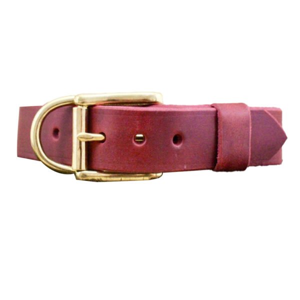  Brown Leather Brass or Nickel Buckle Leather Dog Collar