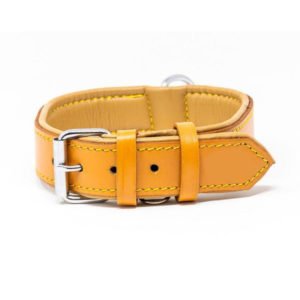 Glowing Brownish GOLD Leather Dog Collar