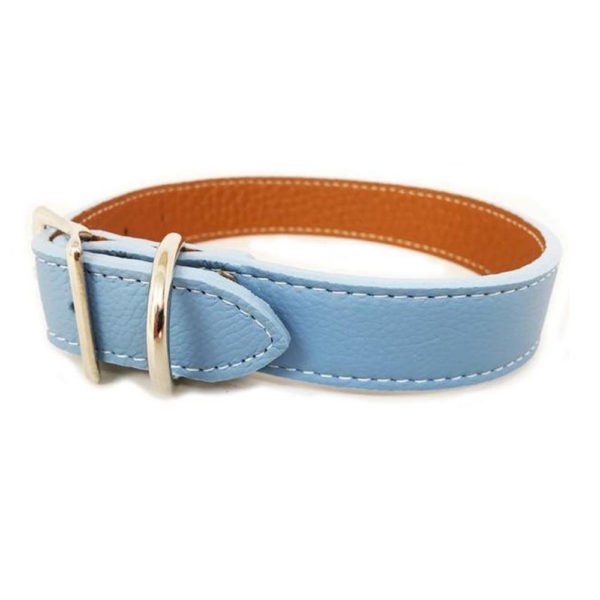 Royal Blue Leather Color Dog Collar Manufacturer