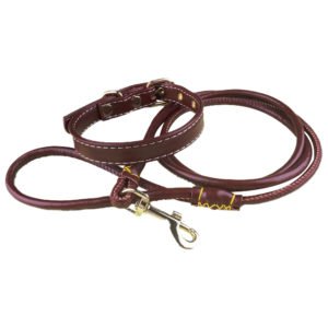 Brown Leather Rope Dog Collar & Leash Set