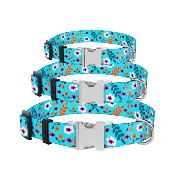 Floral Blue Personalized Dog Collar & Leash