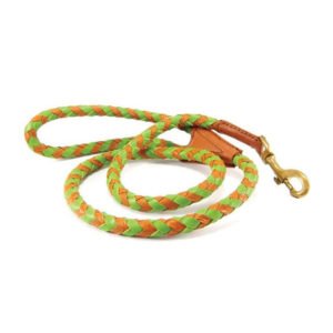 Light Green And Orange Braid Leather Leash For All Dogs & Puppies