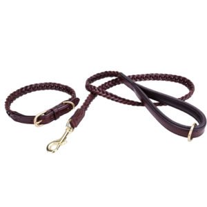 Strong Brown Braid Leather Dog Collar & Leash