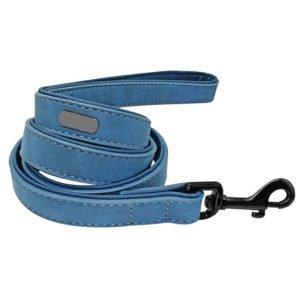 Leather Leash With Personalized NamePlate