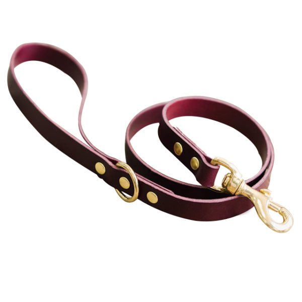 Classic Leather Collar And Leather Leash Manufacturer