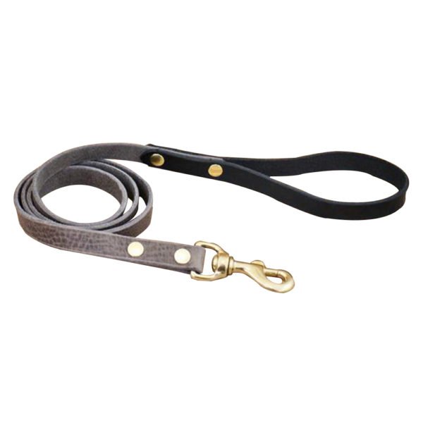 Gray Design Dog Collar & Leash With Black Leather Handle