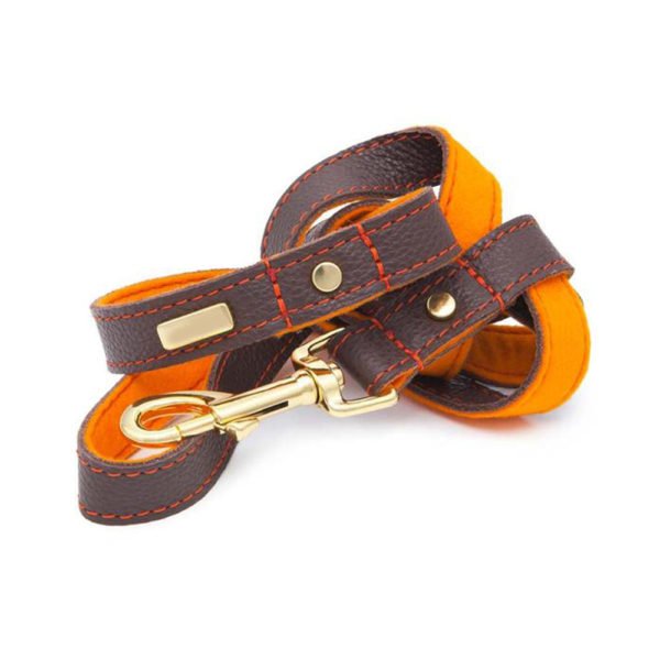 Brown With Orange Stylish Leather Dog Leash