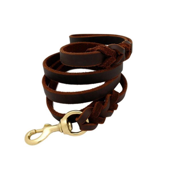 Twisted Leather Braid Dog Leash