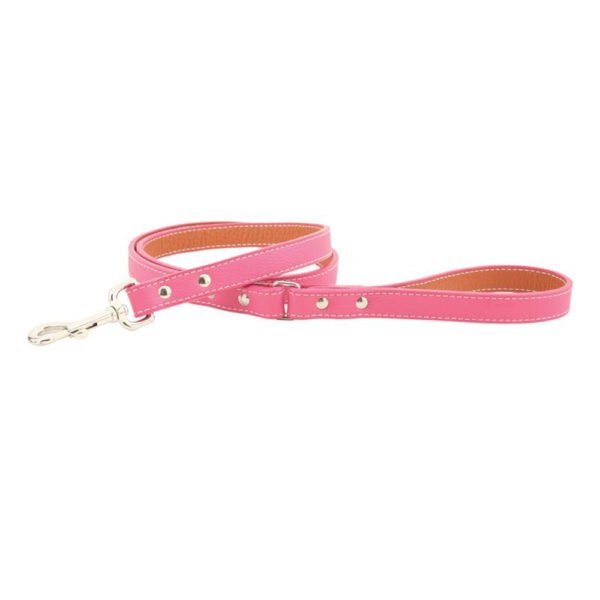 Italian Leather Dog Leash With 12 Colors