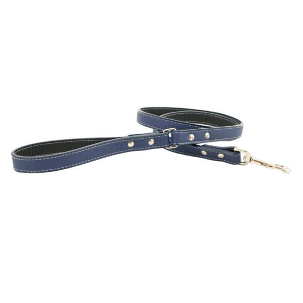 Italian Leather Dog Leash With 12 Colors