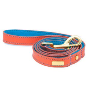 Peach & Blue Color Combination Wide Leather Dog Collar