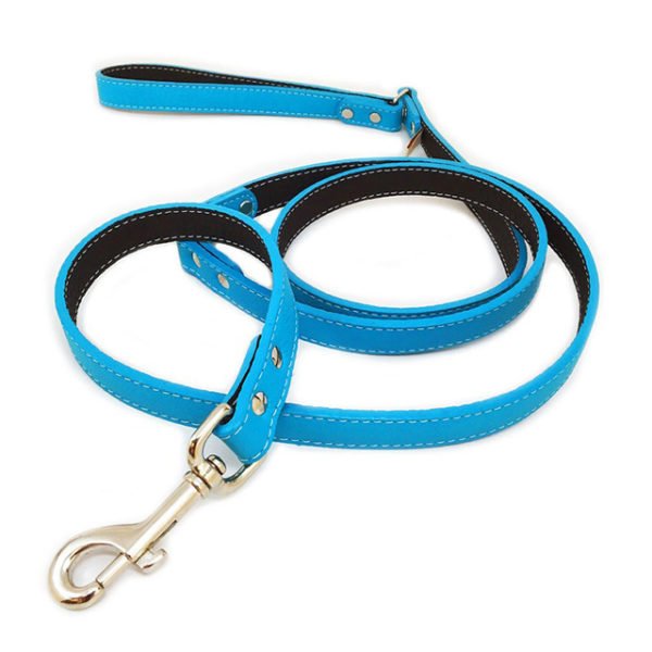 Beautiful Blue Pet Leashes With Silver Hardware