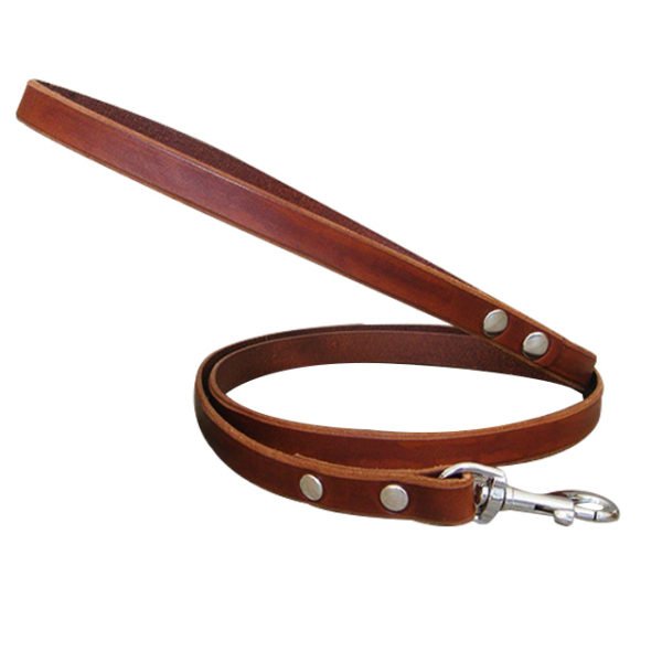 Dark Brown Leather Leash With Golden Buckle