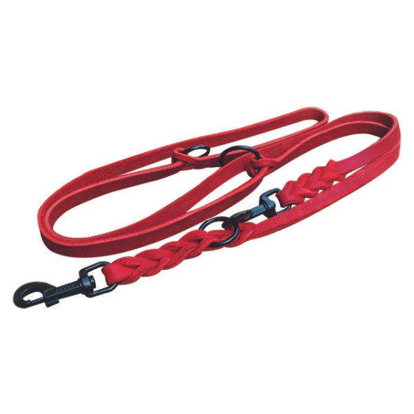 Solid Brass Hardware Red Braided Dog Leash With Handle