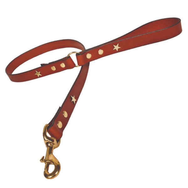 Tannery Padded Leather Dog Leash With Star