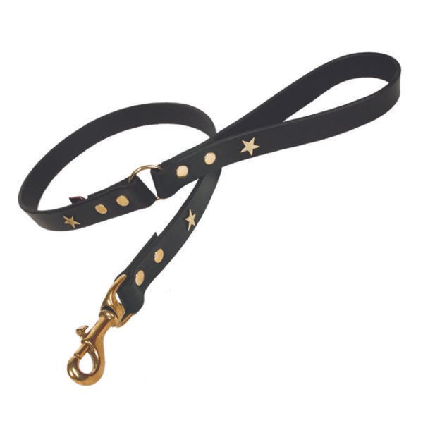 Tannery Padded Leather Dog Leash With Star