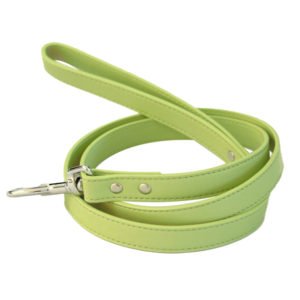 Light Green Slim Leather Dog Leash