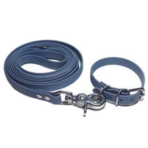 5ft Dog Leather Leash and Collar Set