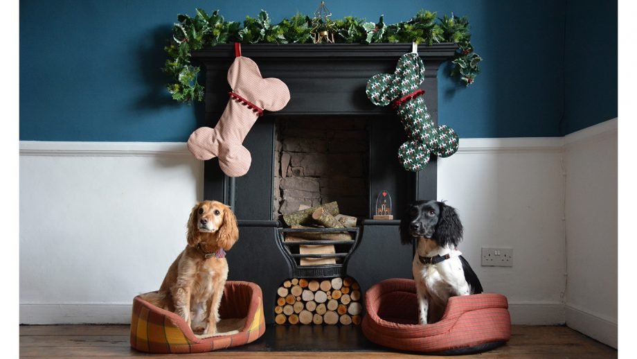 Top Six Seasonal Accessories for Dogs Manufacturer