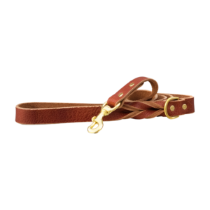 braided-leather-dog-leash