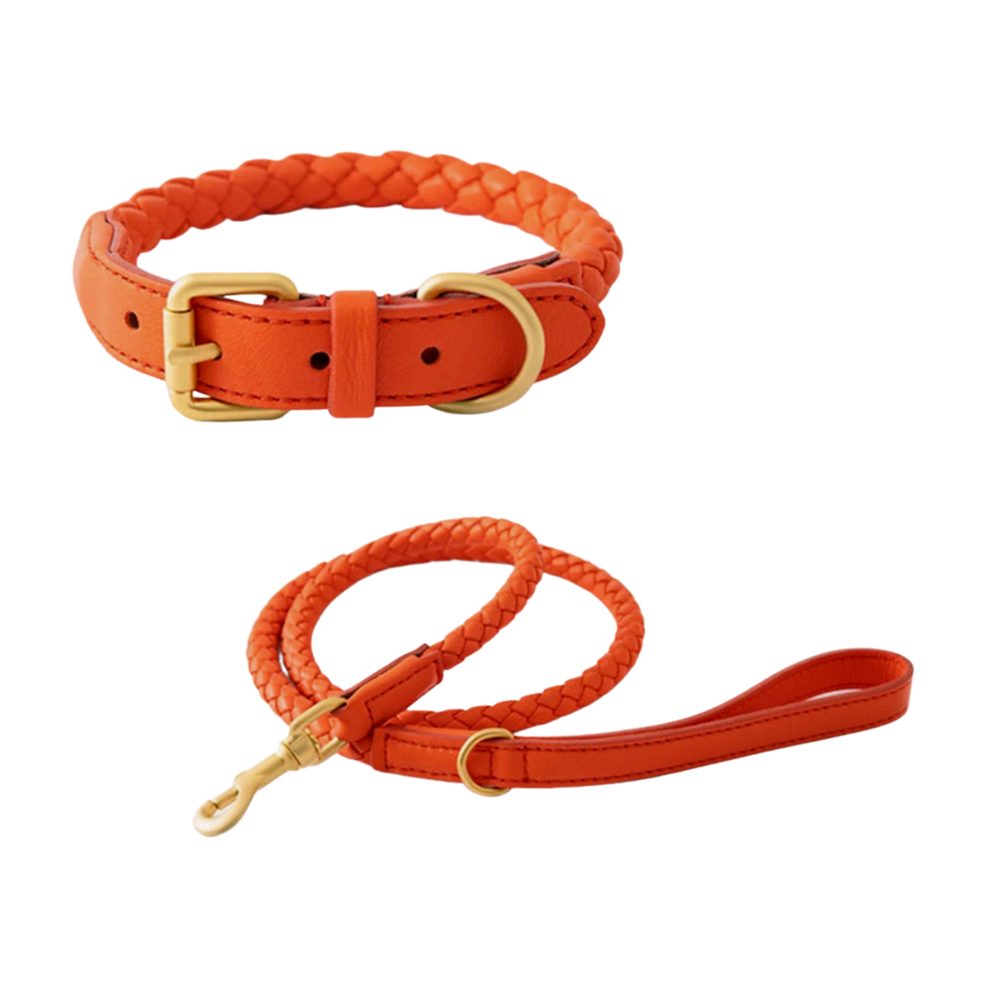 braided-leather-dog-leash-and-collar