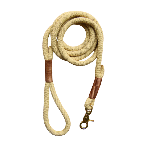 customize-nylon-dog-leash