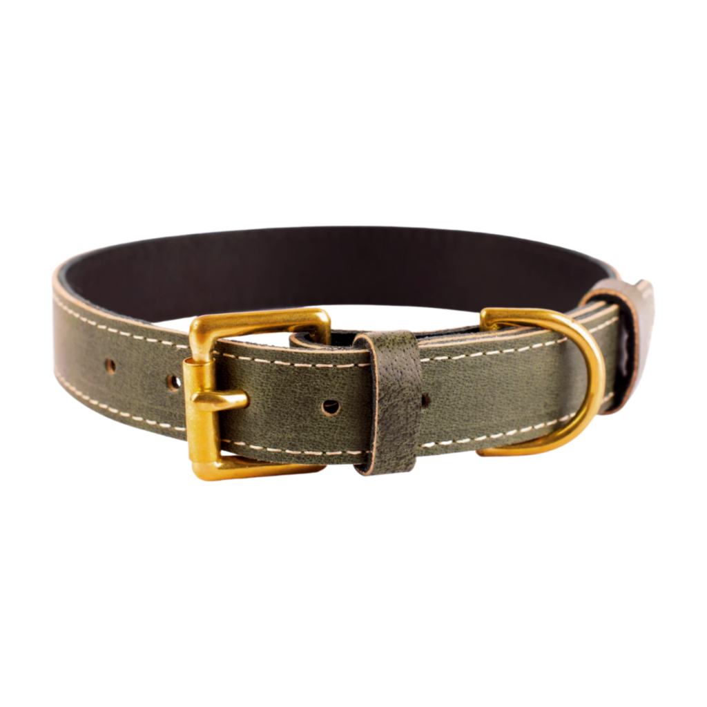 Highquality, elegant plain leather dog collar for retail