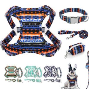 Stylish Dog Collars Leashes Manufacturer