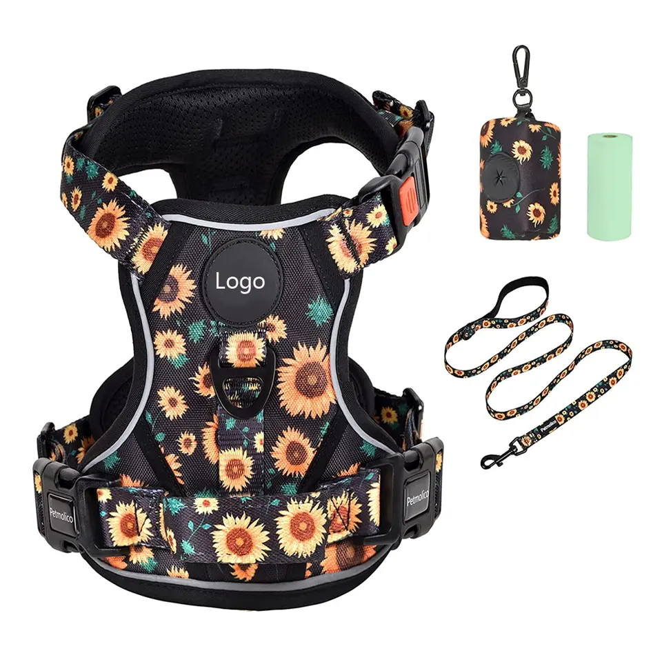 No Pull Dog Harness With Leash Set Manufacturer