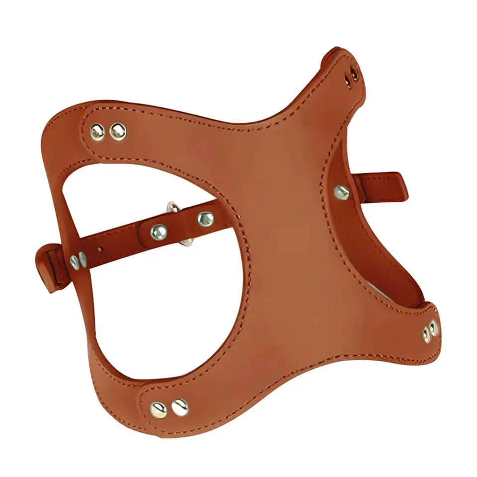 Luxury Leather Dog Harness With Leash