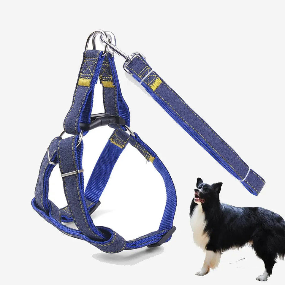 dog harness manufacturer